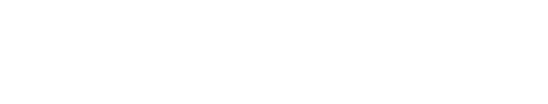 The Invasion
