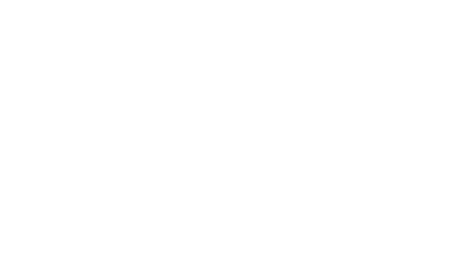 Mighty Raju