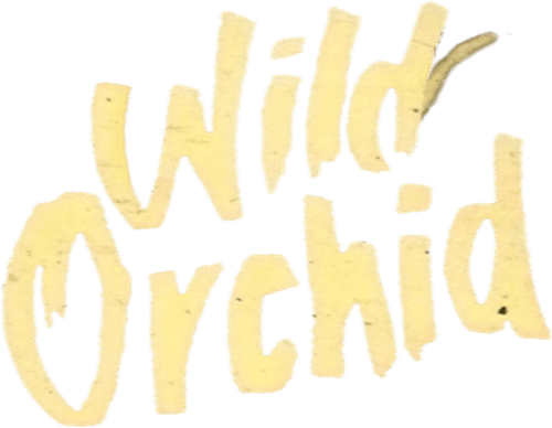 Wild Orchid