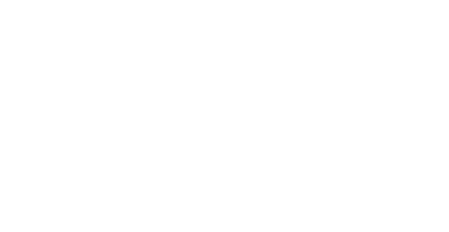 The Purchase Price