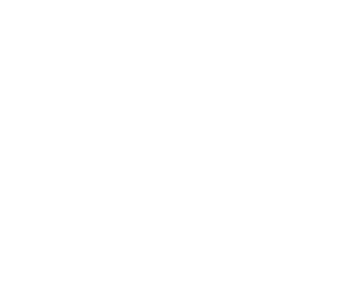 The Wrong Guys