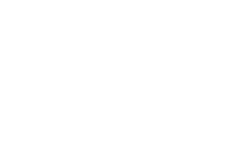 The Future Diary