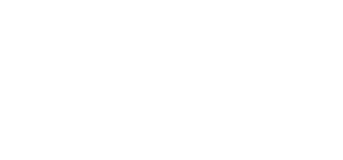 The Charge of the Light Brigade