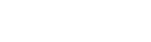 My Führer