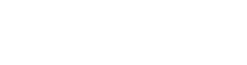 The Witnesses
