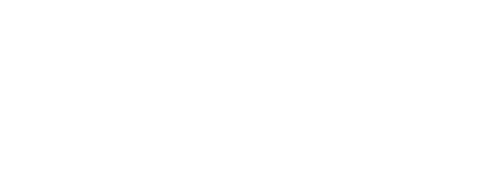 Inspector Koo