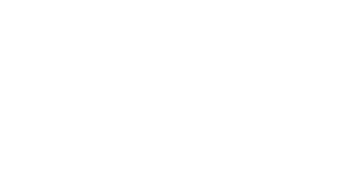 The Fence