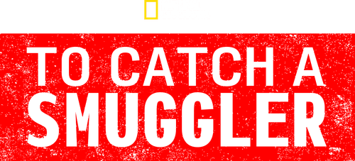 To Catch a Smuggler