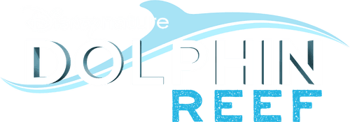 Dolphin Reef
