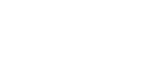 Donkey Skin