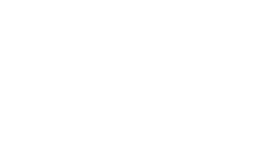 Sword Dynasty