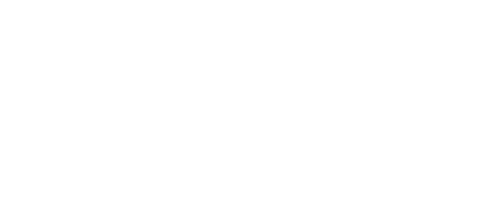 The Son of Kong