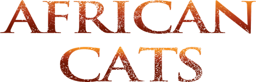 African Cats