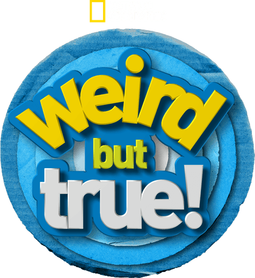 Weird But True!