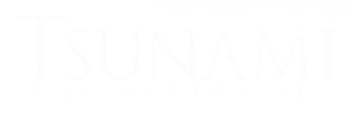 Tsunami: The Aftermath