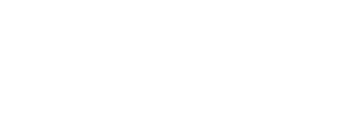 Swashbuckler