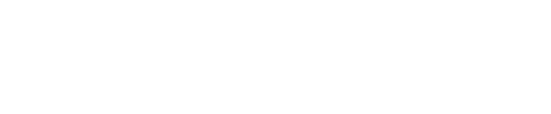 Mr. Destiny
