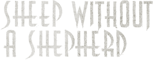 Sheep Without a Shepherd