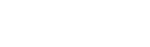 The Assistant