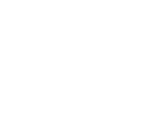 Blind Fury
