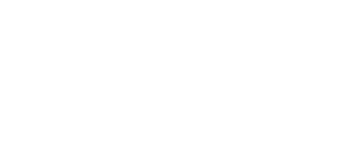 The Guest
