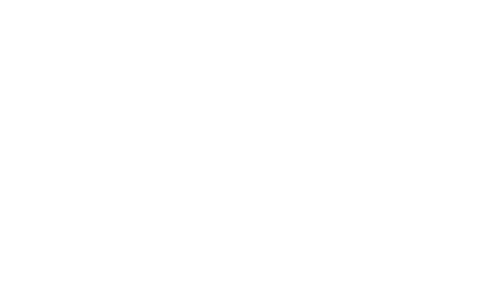 Big Brother