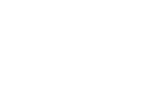 Buffy the Vampire Slayer