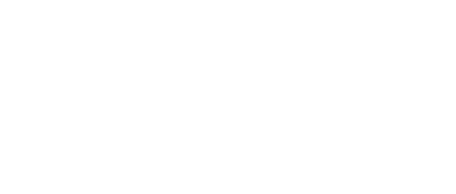 The Art of the Steal