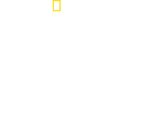 Das Reich: Hitler's Death Squads
