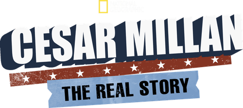 Cesar Millan: The Real Story
