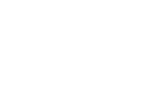Lady in the Lake