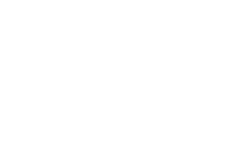 The Alabama Solution