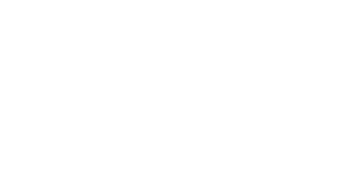 The Mick