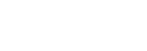 Wonderland of Love