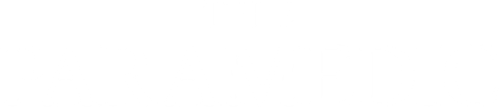 The Paramedic