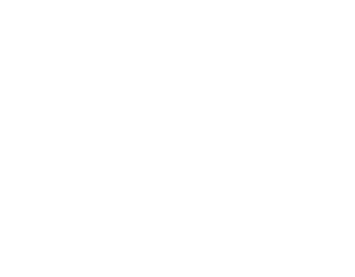 Three Little Pigs