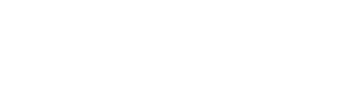 Visitor Q