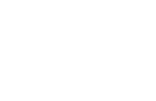 Desert Flippers