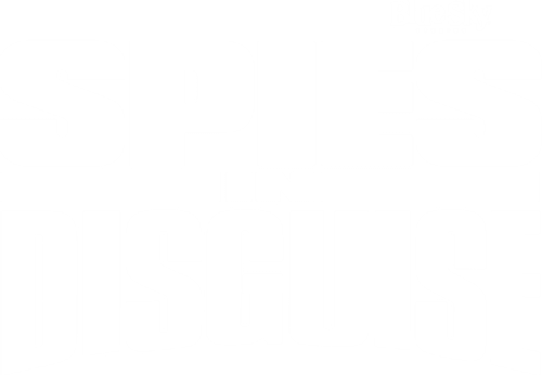 Spies in Disguise