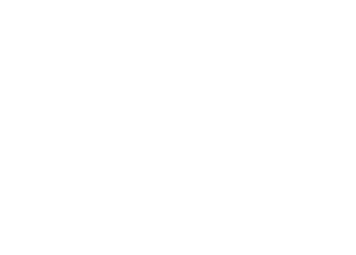 My Big Fat Greek Wedding