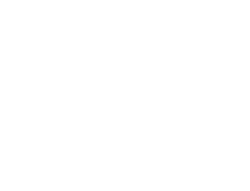Family Album