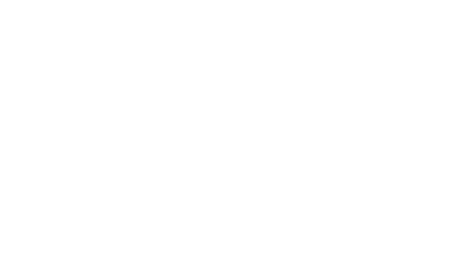 Summer Holiday
