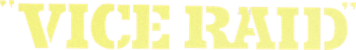 Vice Raid