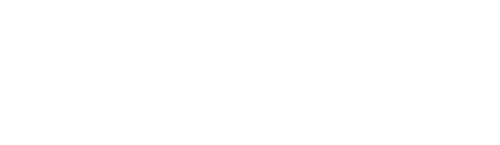 General Magic