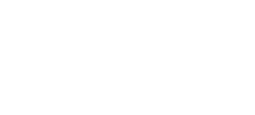 Meet the Sloths
