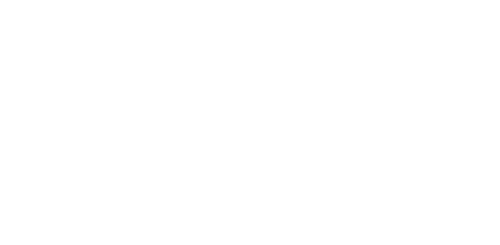 Berlin Station