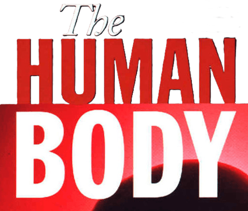 The Human Body