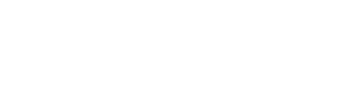 The Virgin Suicides