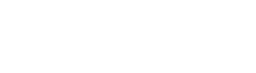 The Visitor
