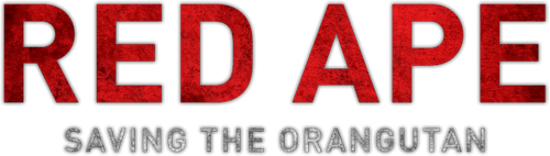 Red Ape: Saving the Orangutan